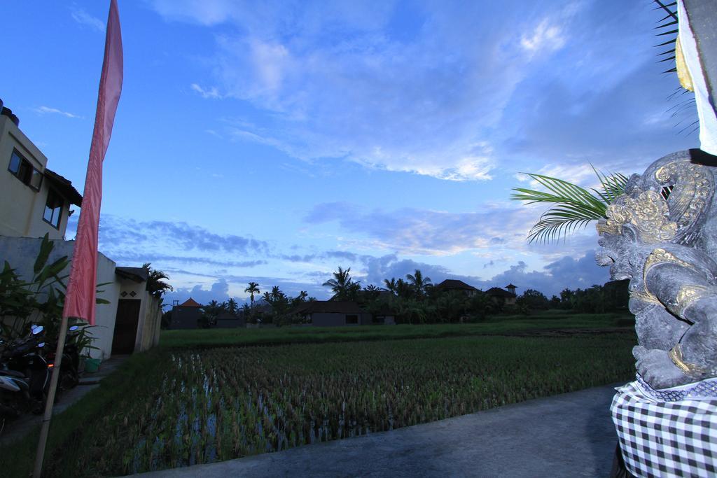 Pondok Buda Merta Ubud Eksteriør billede
