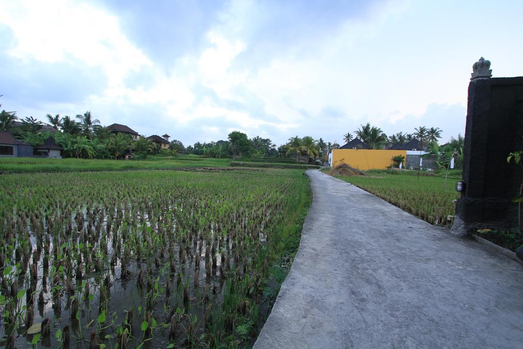 Pondok Buda Merta Ubud Eksteriør billede